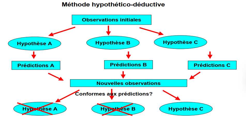Schéma de l'approche hypothético-déductive en sciences. L'hypothèse qui est conforme aux prédictions est celle qui a résisté à la falsification après plusieurs expériences successives.
